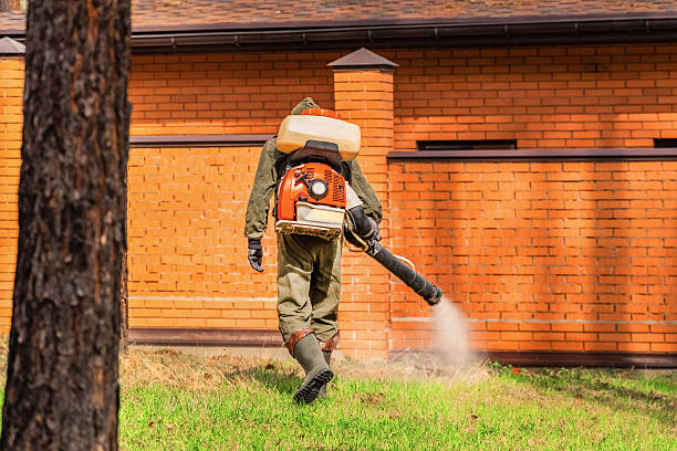 Bed Bug Clearance Verification and Documentation in St. James
